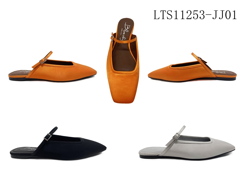 LTS11253-JJ01