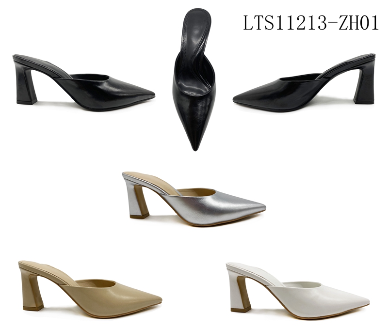 LTS11213-ZH01