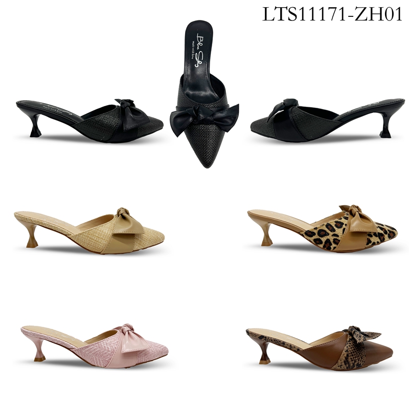 LTS11171-ZH01