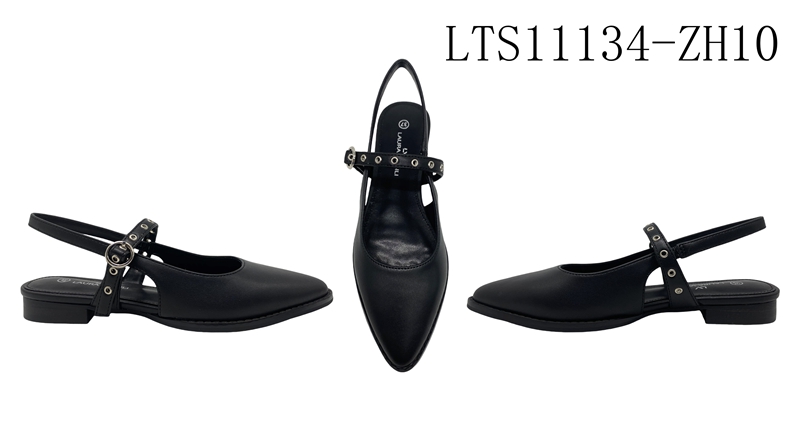 LTS11134-ZH10