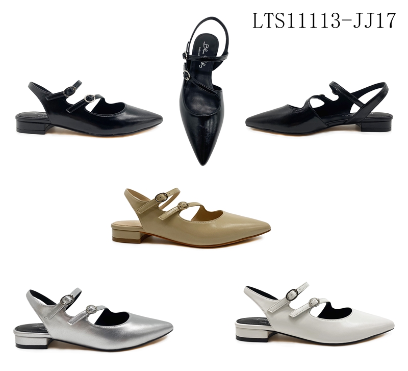 LTS11113-JJ17