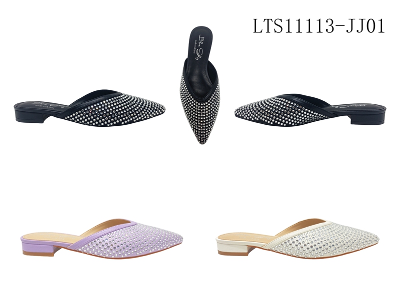LTS11113-JJ01