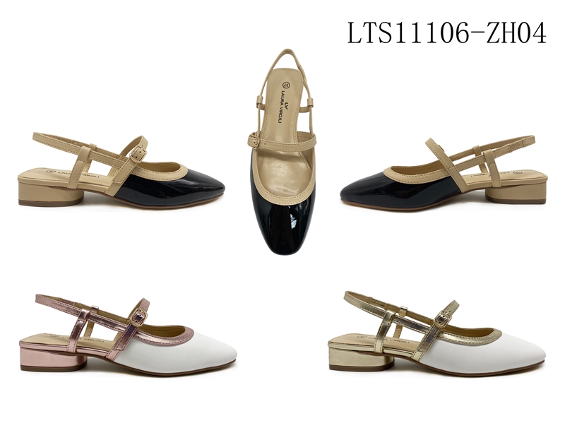 LTS11106-ZH04