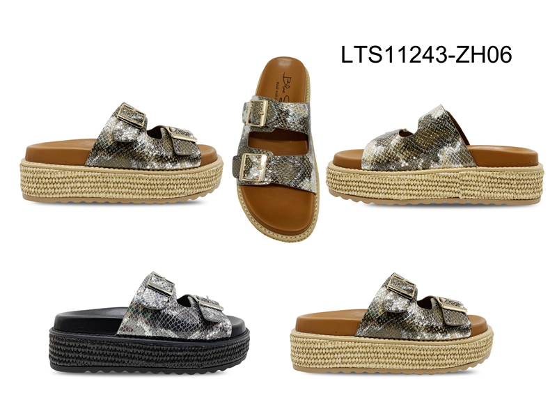 LTS11243-ZH06