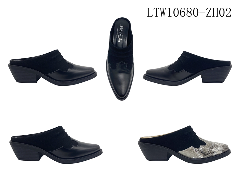 LTW10680-ZH02