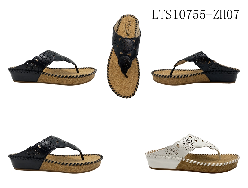LTS10755-ZH07