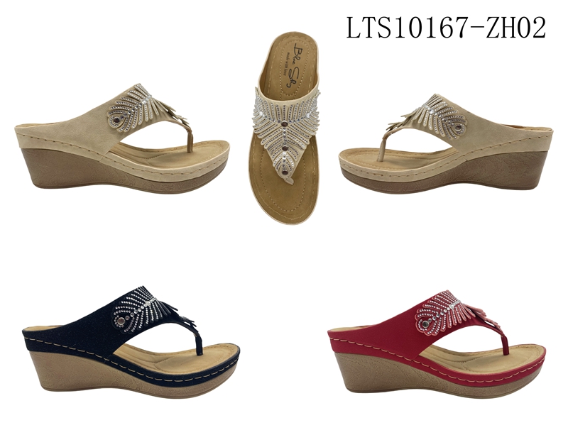 LTS10167-ZH02