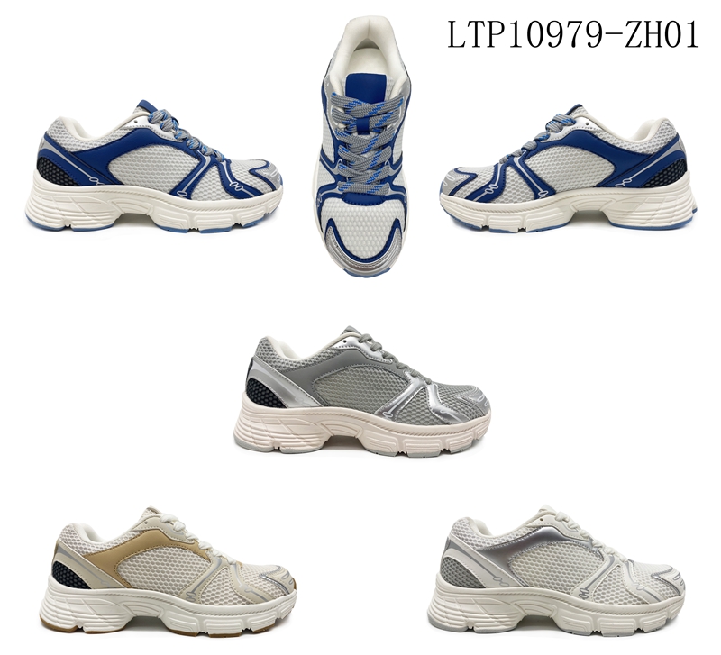LTP10979-ZH01