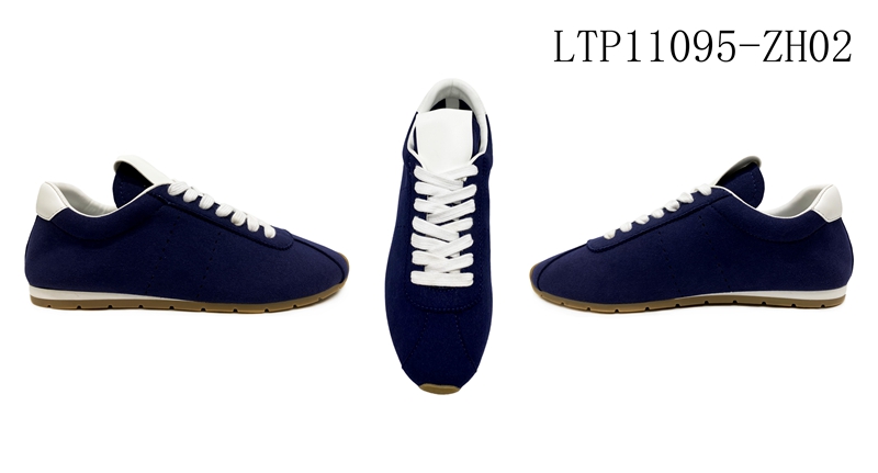 LTP11095-ZH02