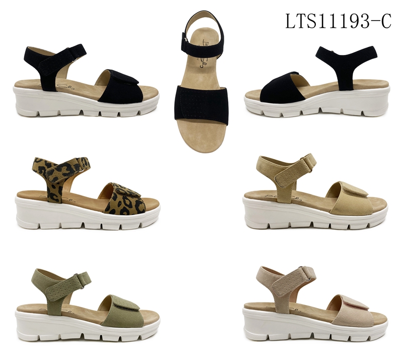 LTS11193-C