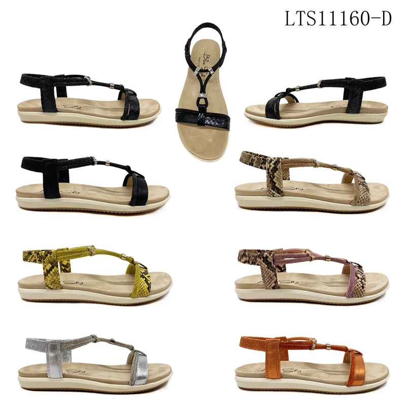 LTS11160-D