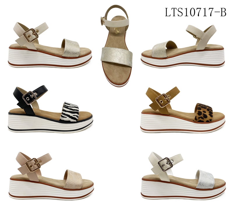 LTS10717-B