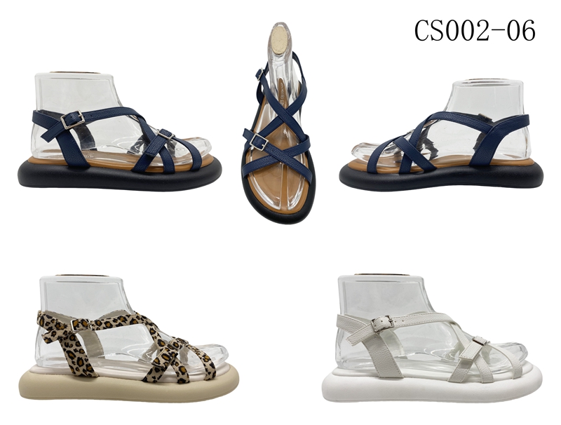 CS002-06