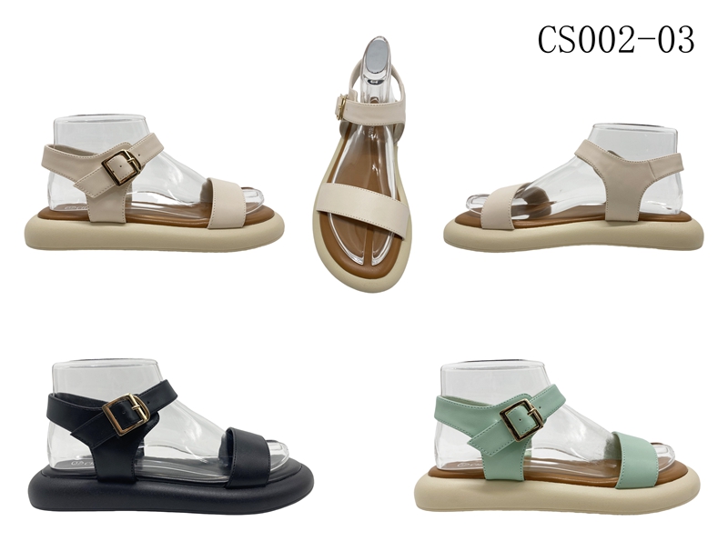 CS002-03