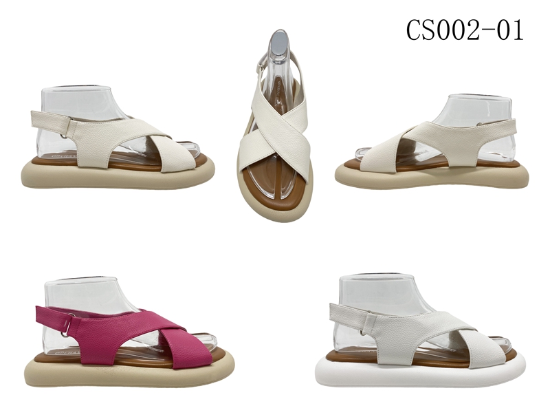 CS002-01