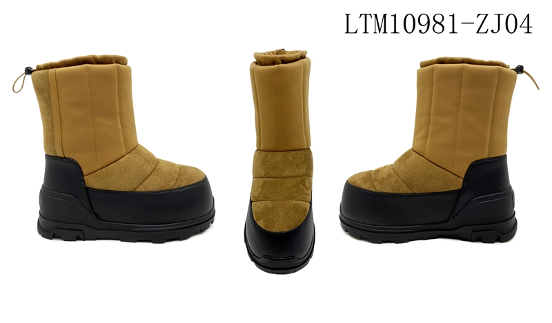 LTM10981-ZJ04