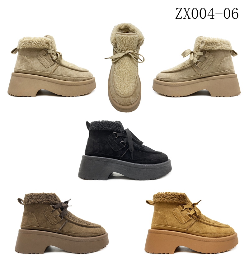 ZX004-06