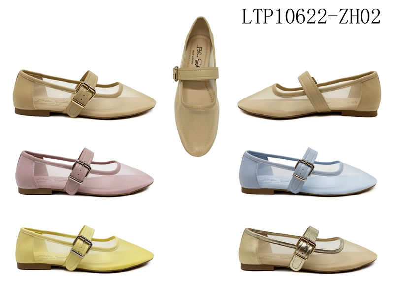 LTP10622-ZH02