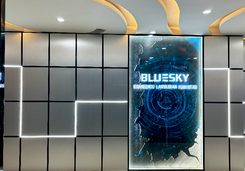 Bluesky Footwear Group