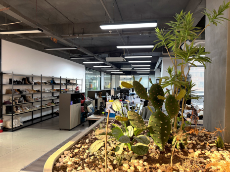 Bluesky Footwear Group