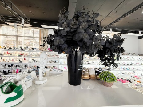 Bluesky Footwear Group